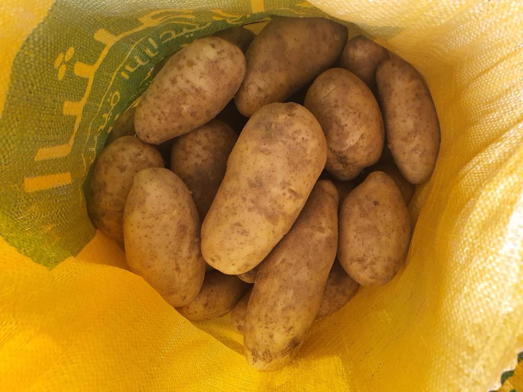 Product image - fresh potatoes available now For more information for our product please contact me

Best Regards
Merna Hesham

Tel: 0020402544299                                                                                                                                                        
Cell(whats-app) 00201093042965

alshamsexporting@yahoo.com
